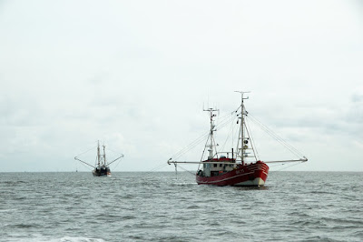 Trawler